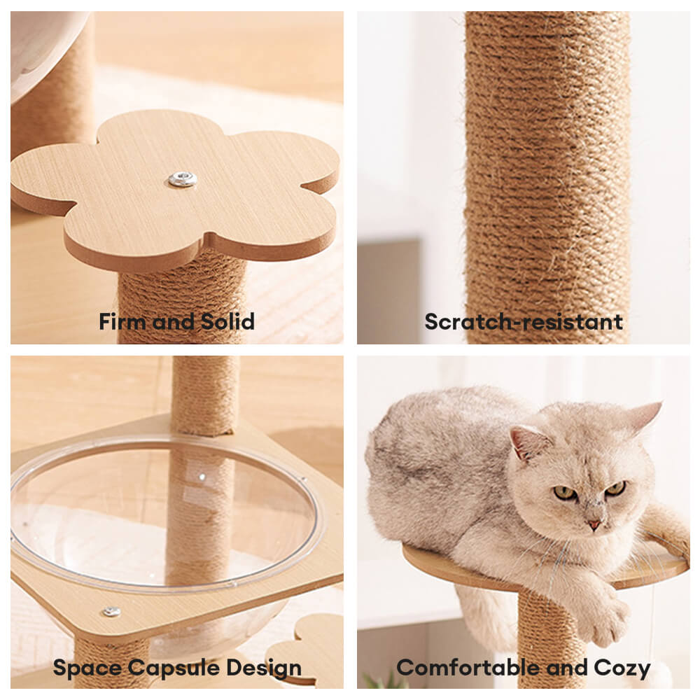 Albero per gatti a cinque livelli con capsula spaziale e pali graffianti resistenti all'usura