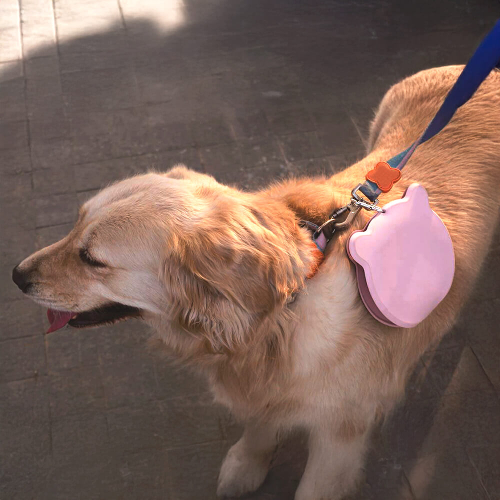 Ciotola per cani pieghevole portatile in silicone non tossico da viaggio