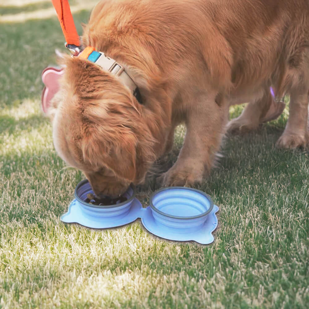 Ciotola per cani pieghevole portatile in silicone non tossico da viaggio