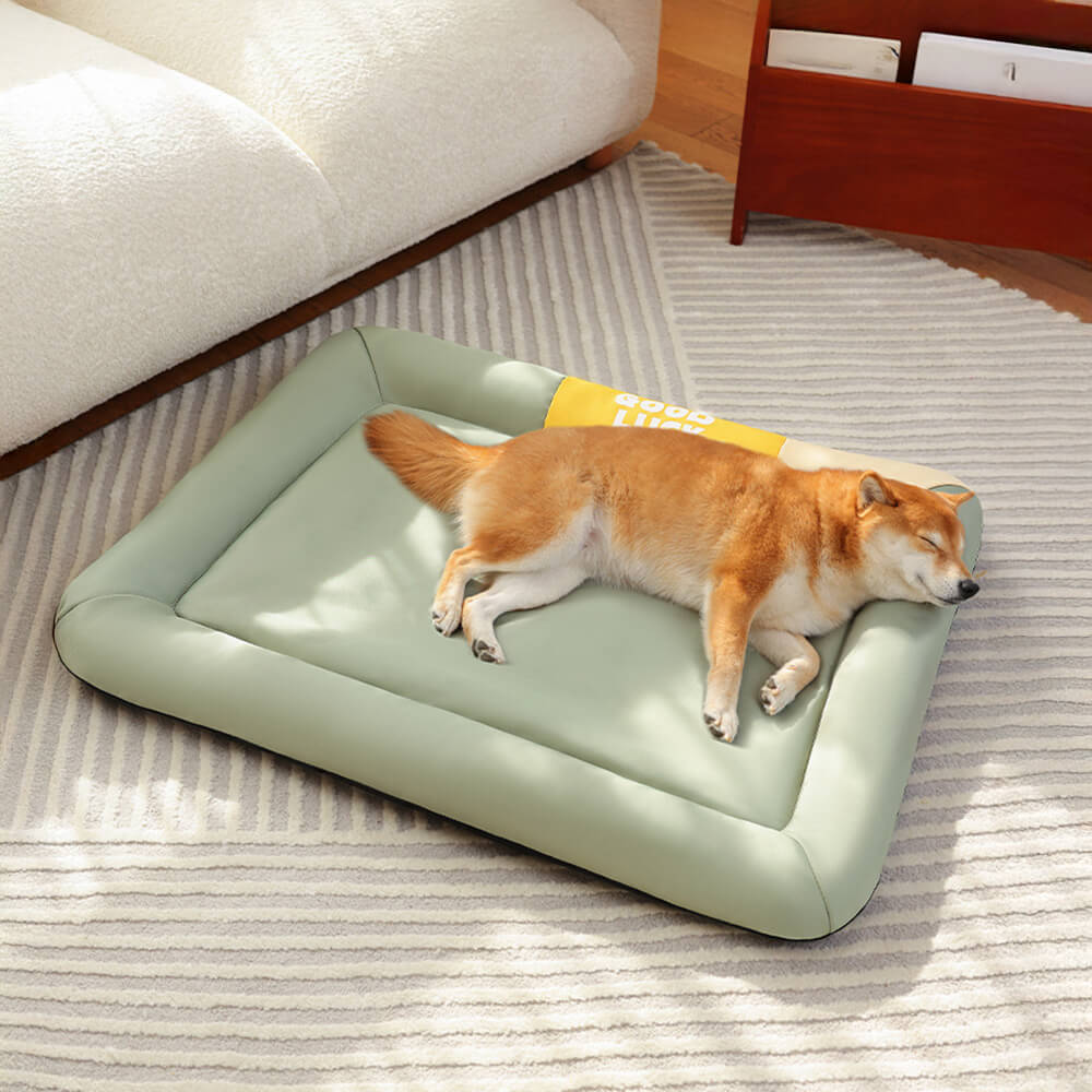Tappetino per cani resistente all'acqua, antigraffio e per tutte le stagioni a colori contrastanti