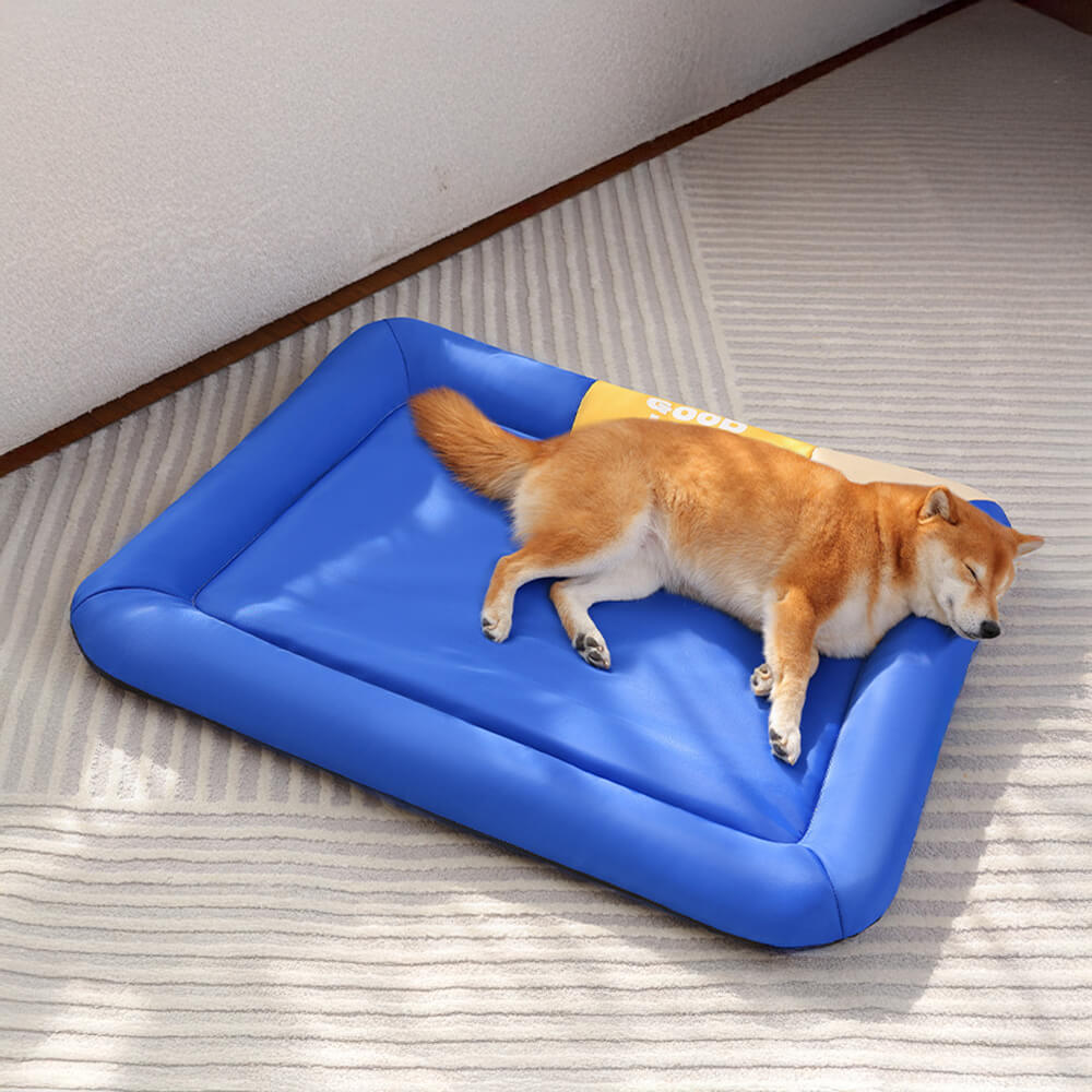 Tappetino per cani resistente all'acqua, antigraffio e per tutte le stagioni a colori contrastanti