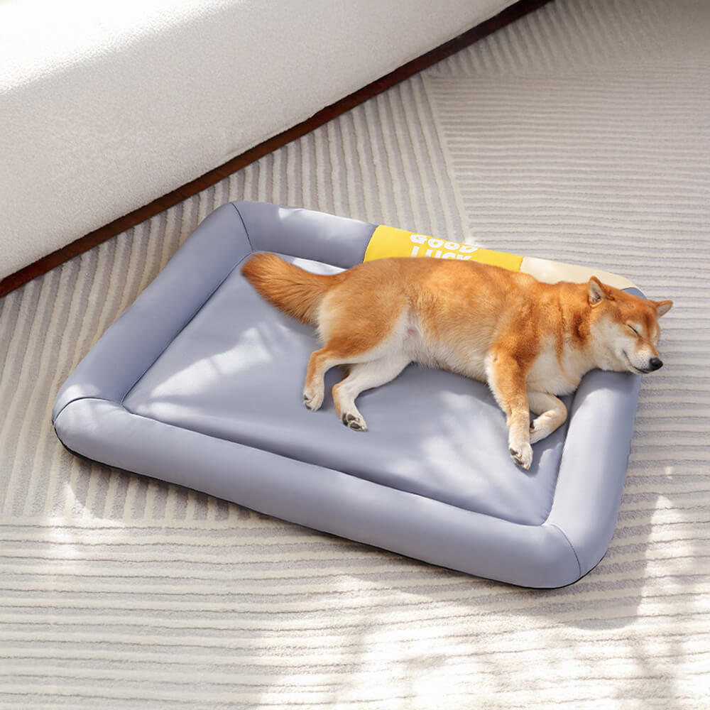 Tappetino per cani resistente all'acqua, antigraffio e per tutte le stagioni a colori contrastanti