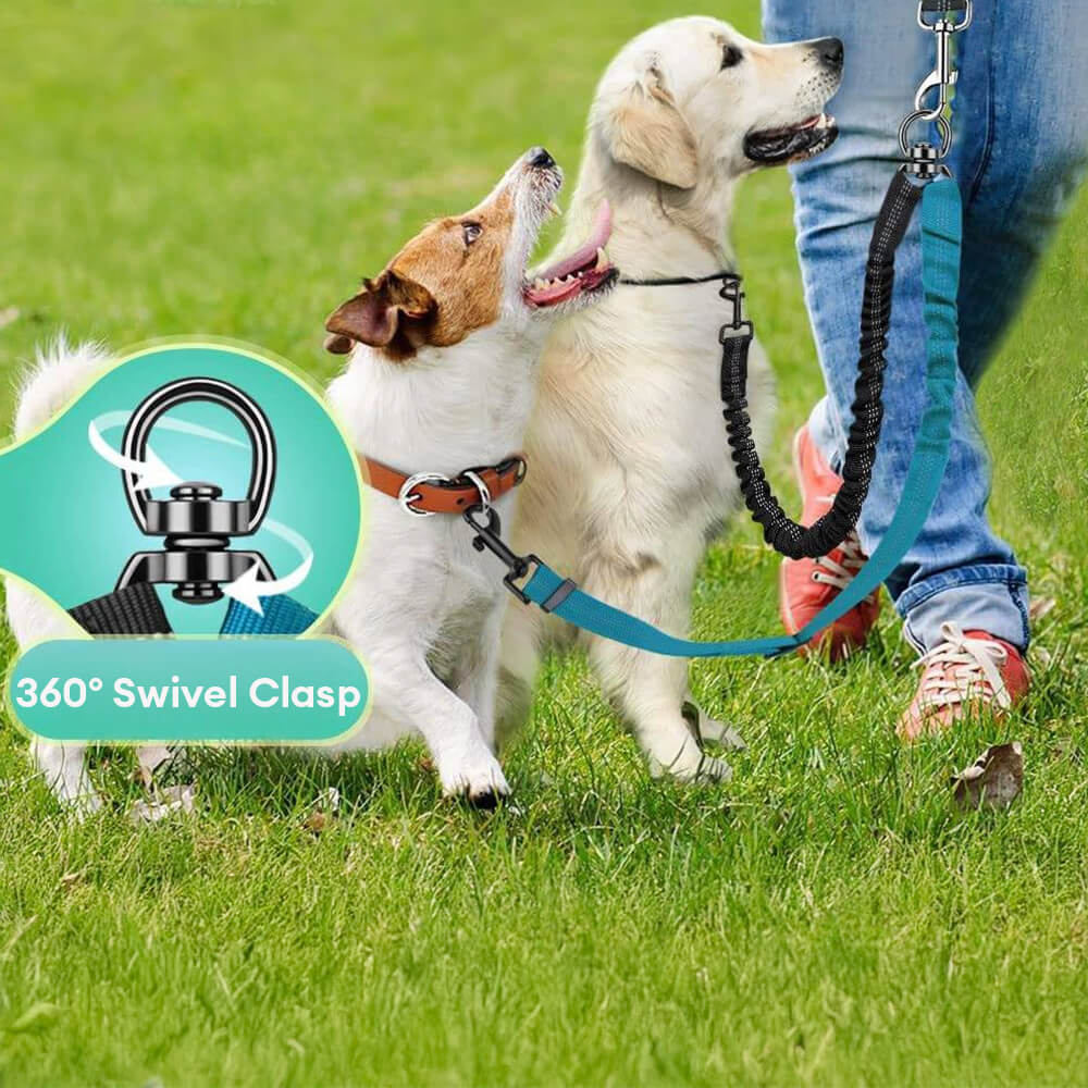 Guinzaglio per cani a doppio anello con assorbimento degli urti e senza grovigli