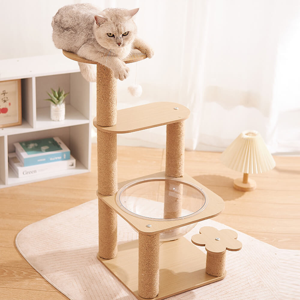 Albero per gatti a cinque livelli con capsula spaziale e pali graffianti resistenti all'usura