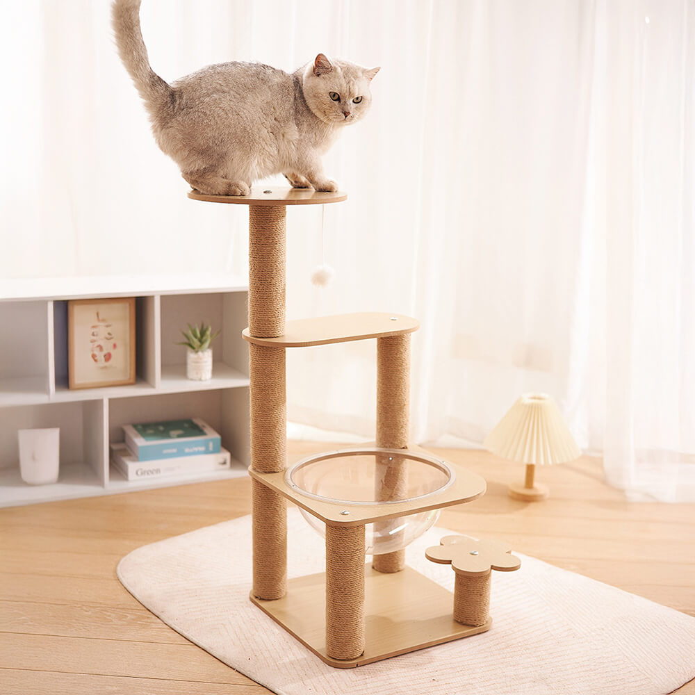 Albero per gatti a cinque livelli con capsula spaziale e pali graffianti resistenti all'usura