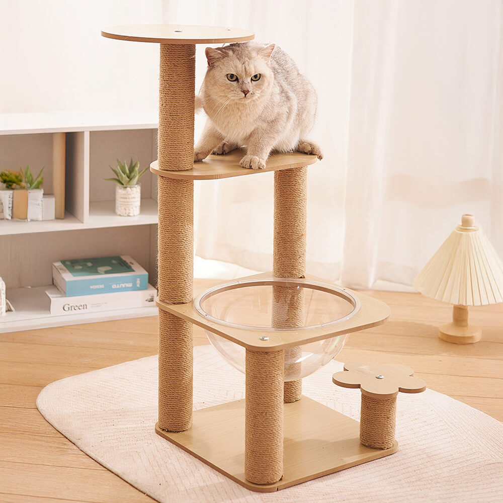 Albero per gatti a cinque livelli con capsula spaziale e pali graffianti resistenti all'usura