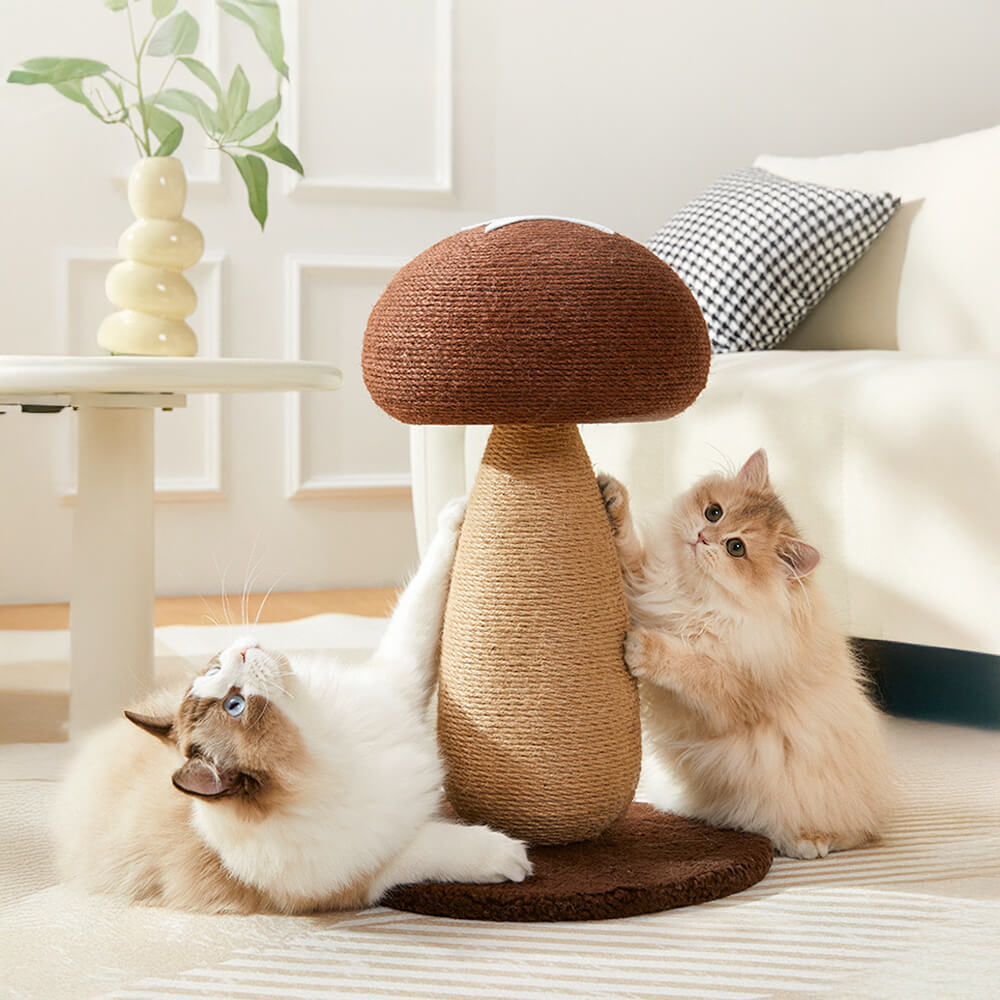 Palo graffiatoio in sisal naturale a forma di fungo per gatti grandi