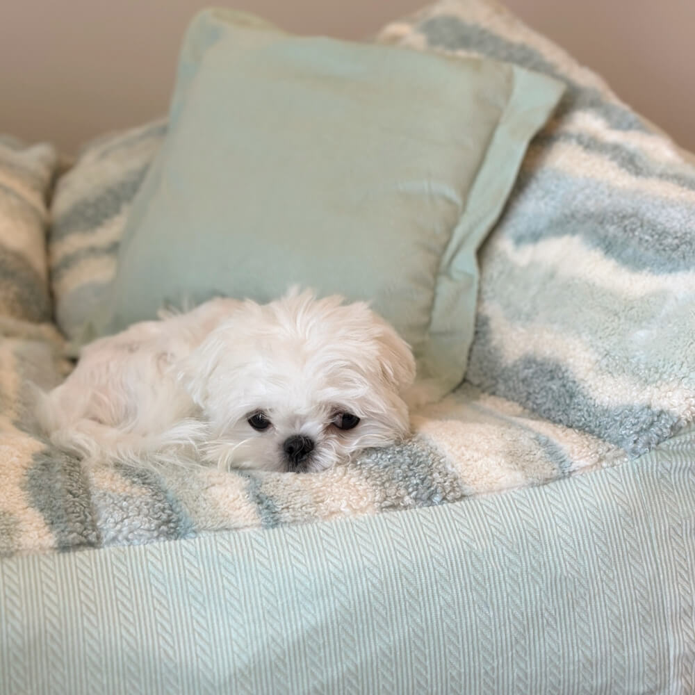 Divano letto per cani in pile polare a blocchi di colore alla moda