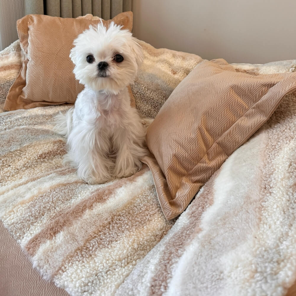 Divano letto per cani in pile polare a blocchi di colore alla moda