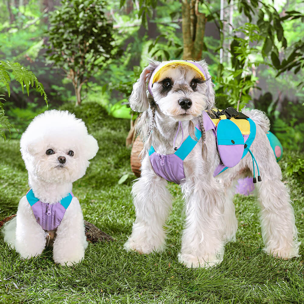 Gilet per cani colorato alla moda con cappello da sole per cani di piccola taglia