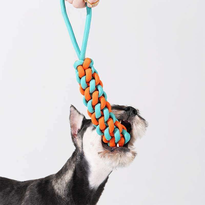 Giocattolo per cani a forma di bastone in corda intrecciata - Conflitto di colori