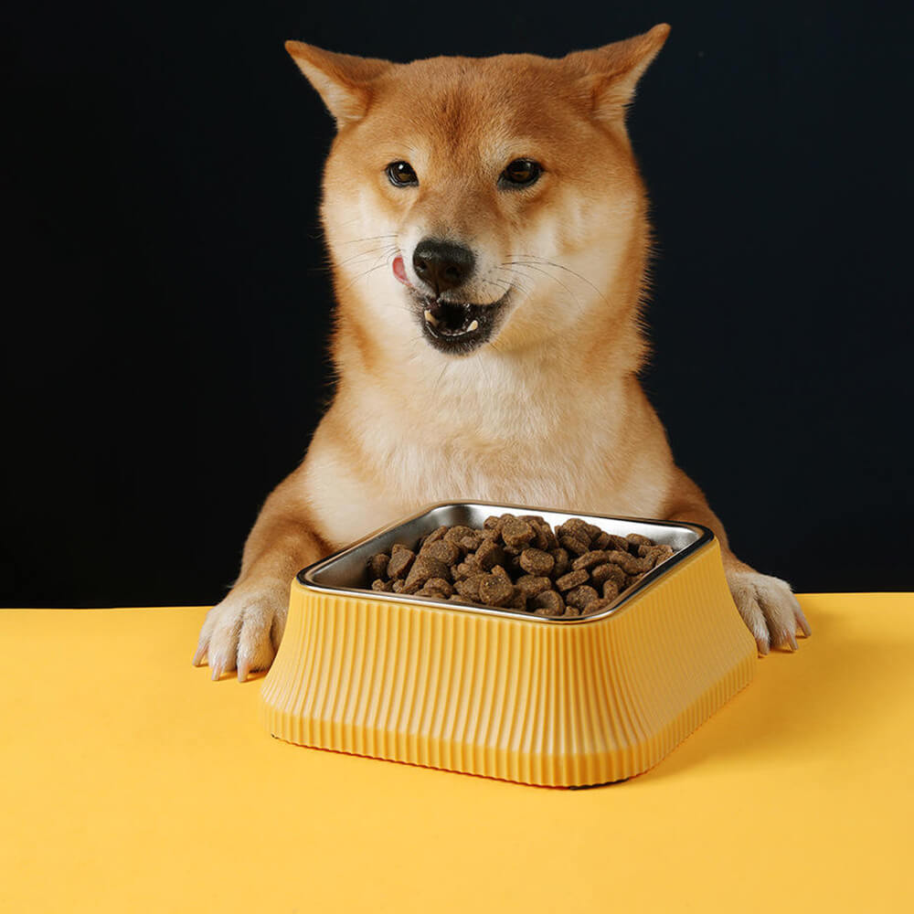 Ciotola per cani - Colonne romane