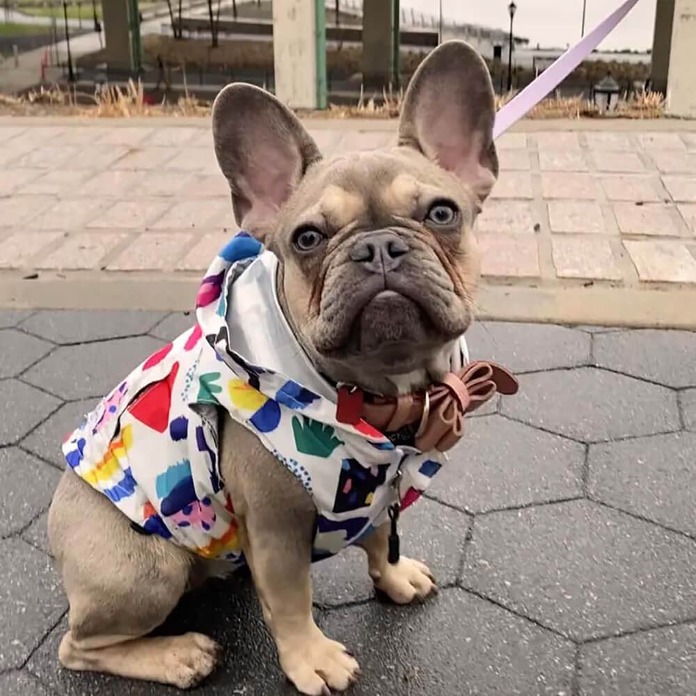 Cappotto impermeabile reversibile per cani - Graffiti e iridescente