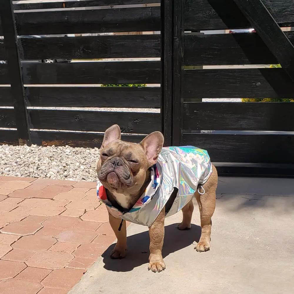 Cappotto impermeabile reversibile per cani - Graffiti e iridescente