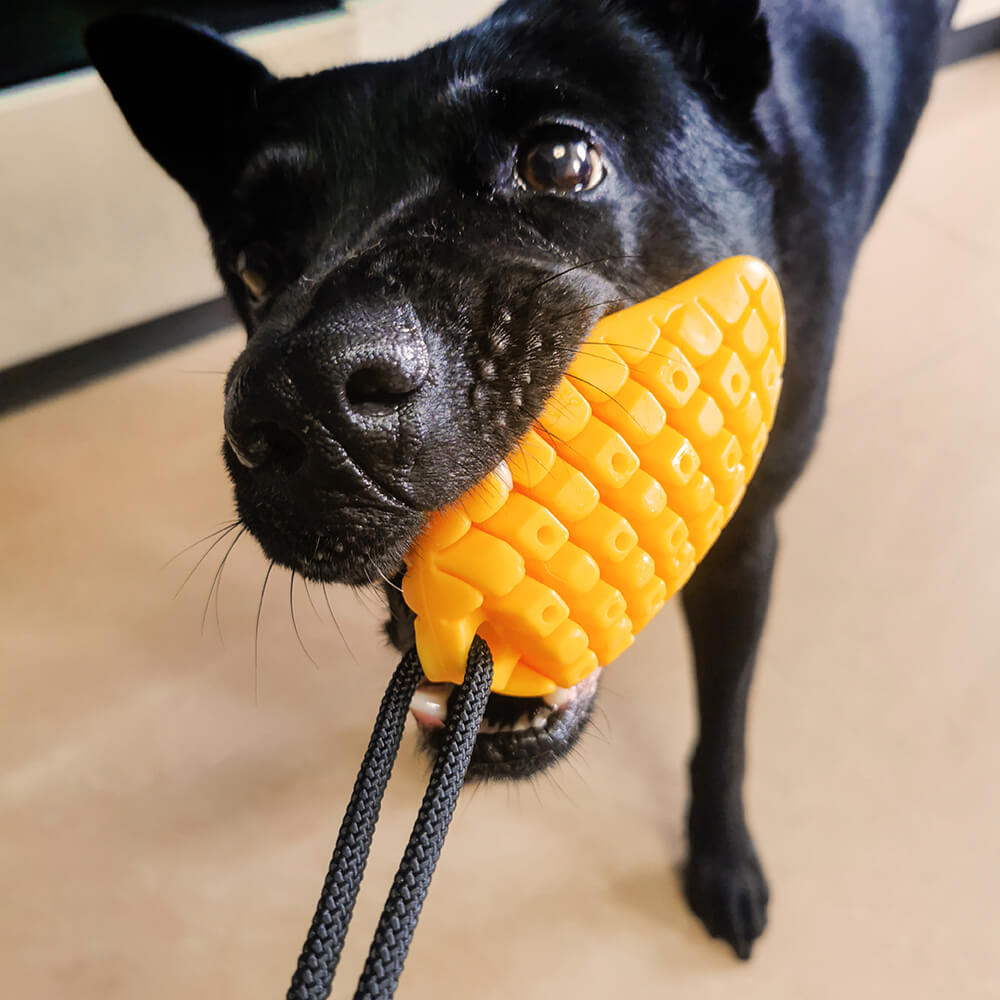 Giocattolo per cani a ventosa - Mango