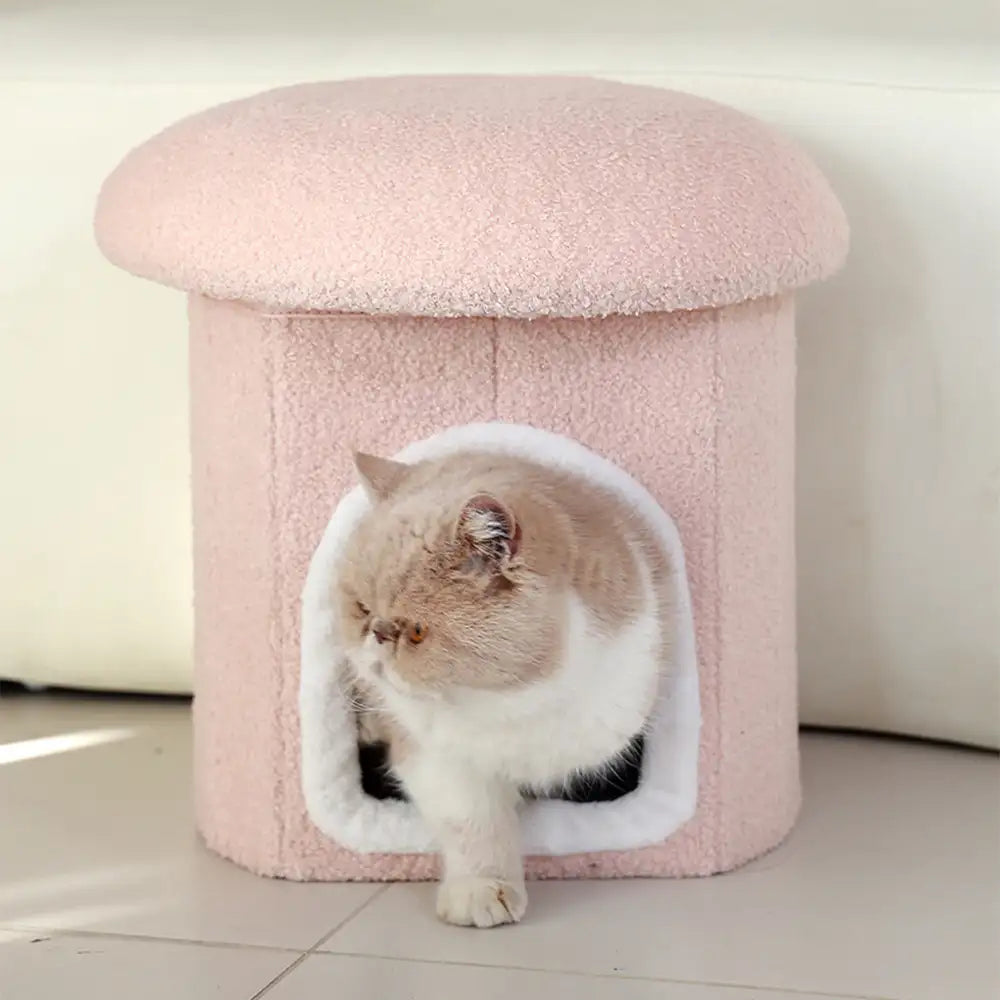 Casa per animali portaottomano pieghevole per gatti