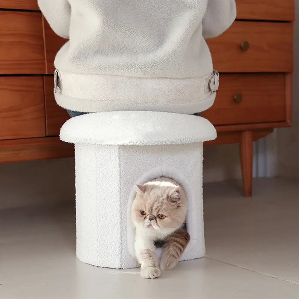Casa per animali portaottomano pieghevole per gatti