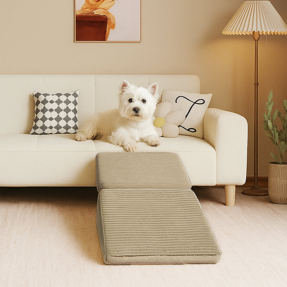 Scala per cani in legno convertibile 2 in 1 con scala a gradini domestica