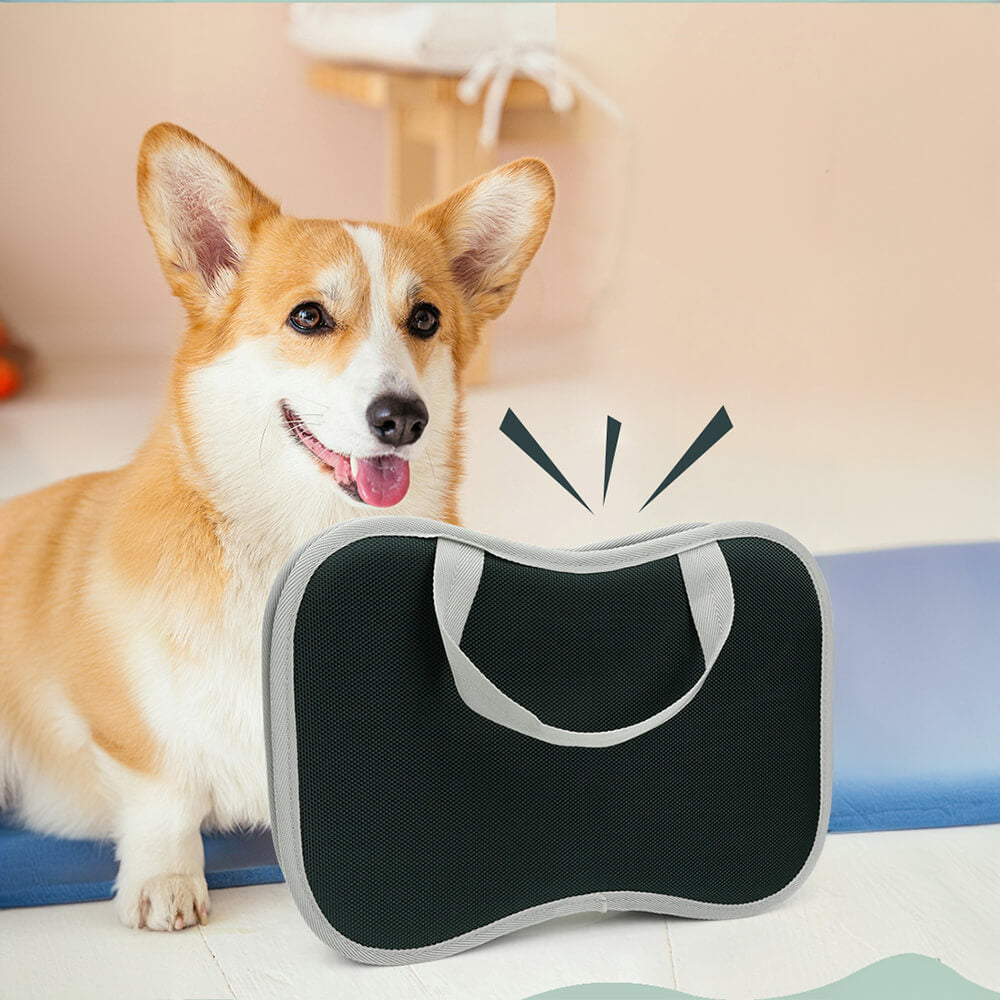 Set completo per la cura e la rimozione del pelo in eccesso per animali domestici.
