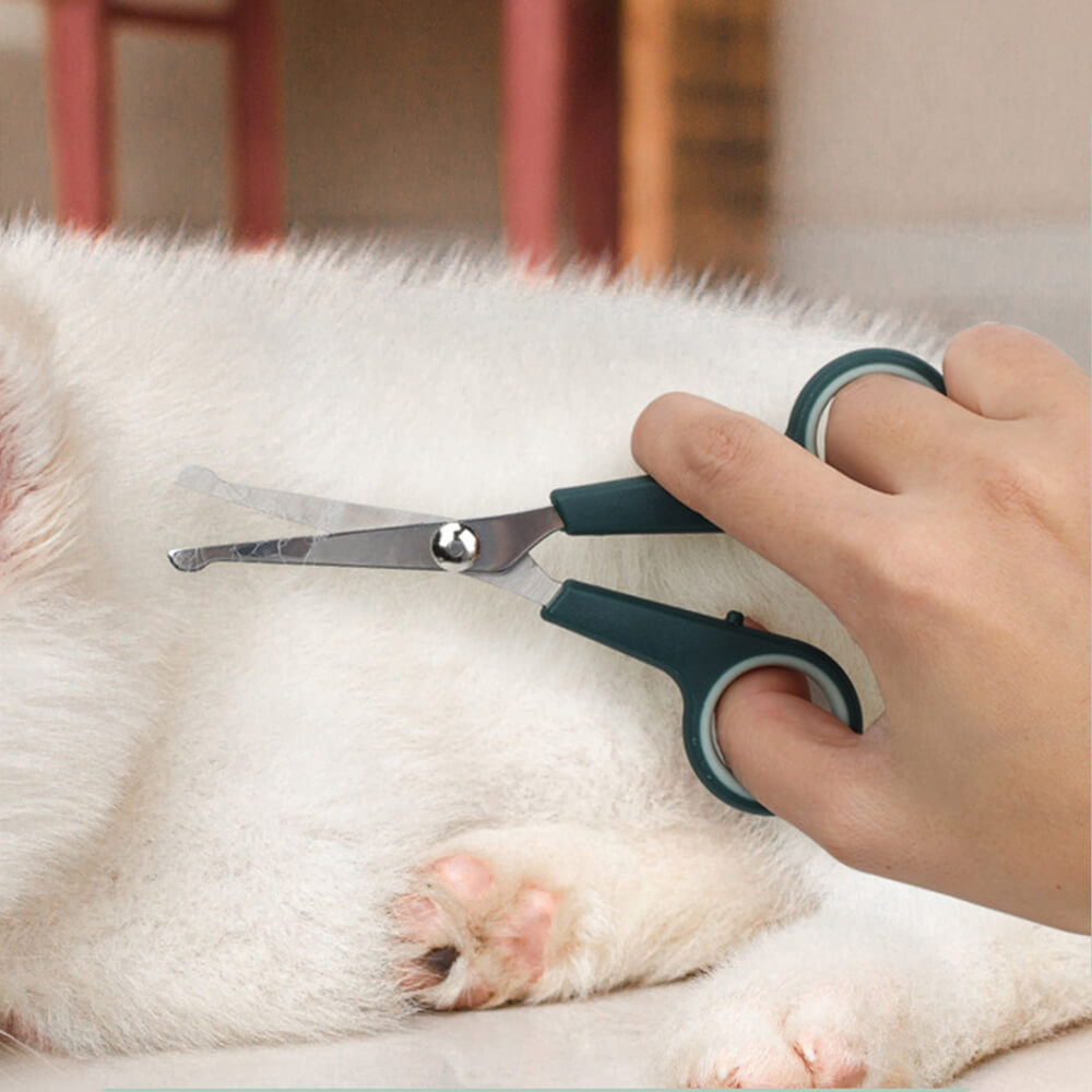 Set completo per la cura e la rimozione del pelo in eccesso per animali domestici.