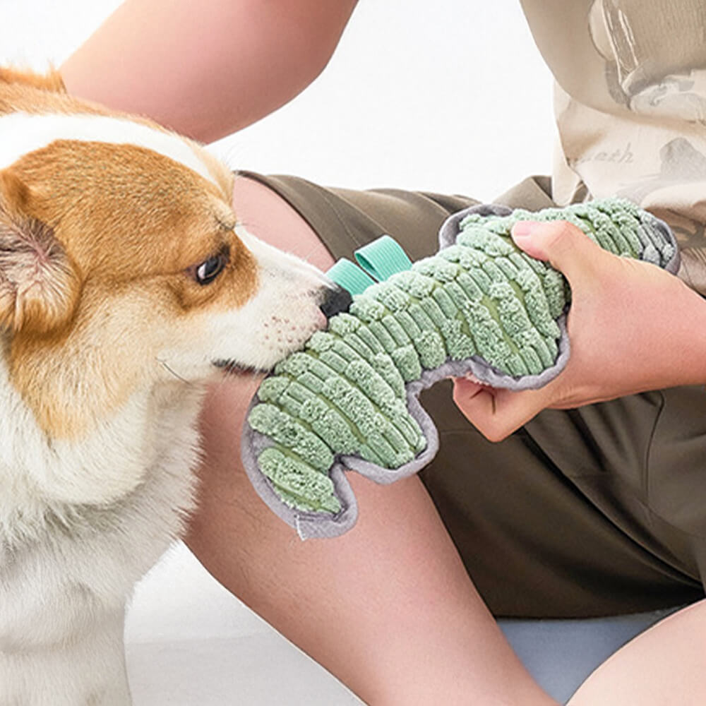 Animal Assembly Squeak Interactive Teeth Cleaning Plush Dog Toy