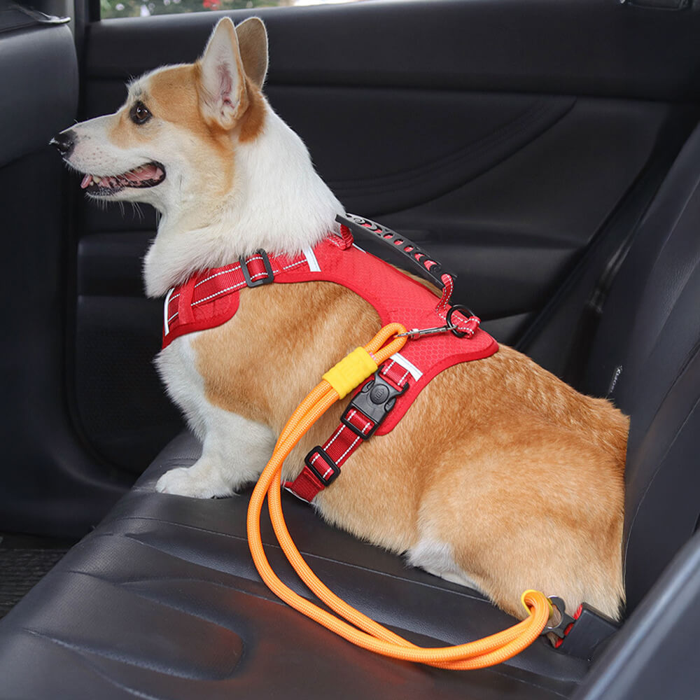 Cintura di sicurezza per cani in nylon anti-tiraggio per seggiolino auto
