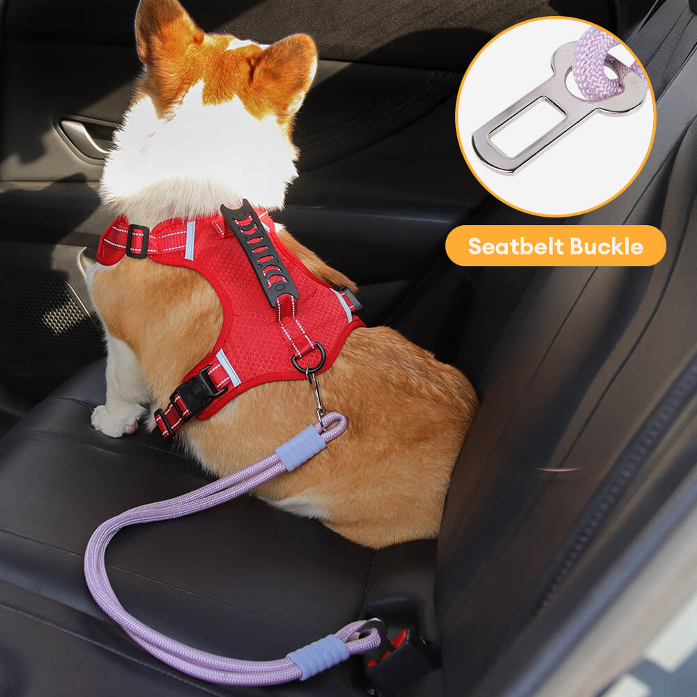 Cintura di sicurezza per cani in nylon anti-tiraggio per seggiolino auto