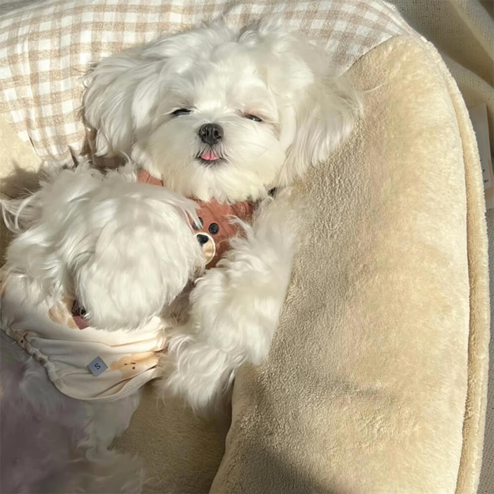 Cuccia per cani e gatti in tela di corallo, impermeabile, con supporto completo