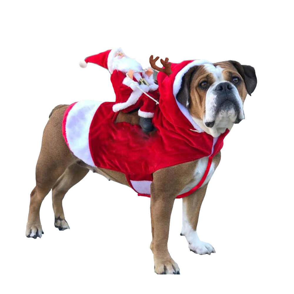 Costume de chien Cosplay pour animaux de compagnie, fête de noël, père noël