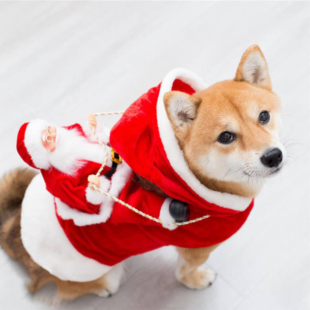 Costume da cane cosplay per animali domestici di Babbo Natale della festa di Natale