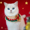 Christmas Santa Claus Buffes de punto de punto para mascota y propietario