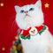 Christmas Santa Claus Buffes de punto de punto para mascota y propietario