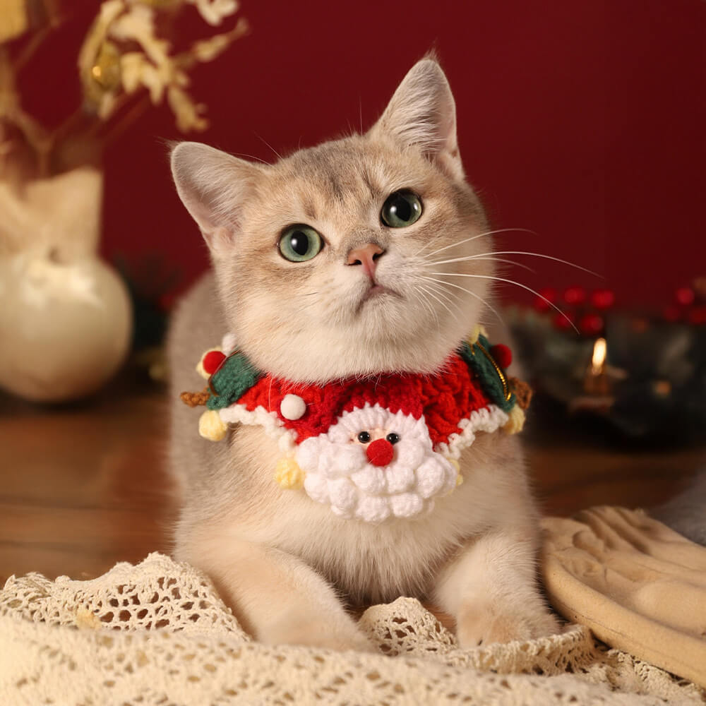 Écharpe tricotée de noël, chaussettes assorties pour animal de compagnie et propriétaire