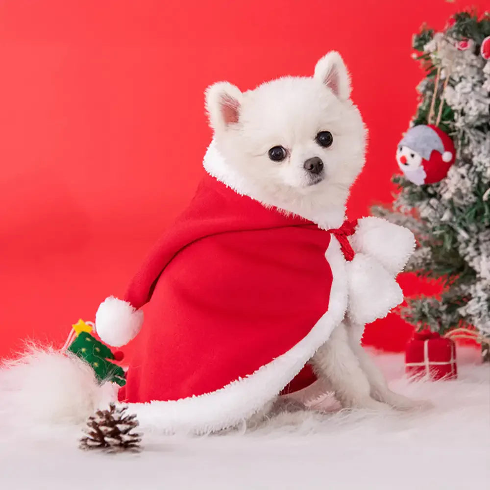 Cappotto di peluche caldo per cani di Natale con cappello di Babbo Natale.