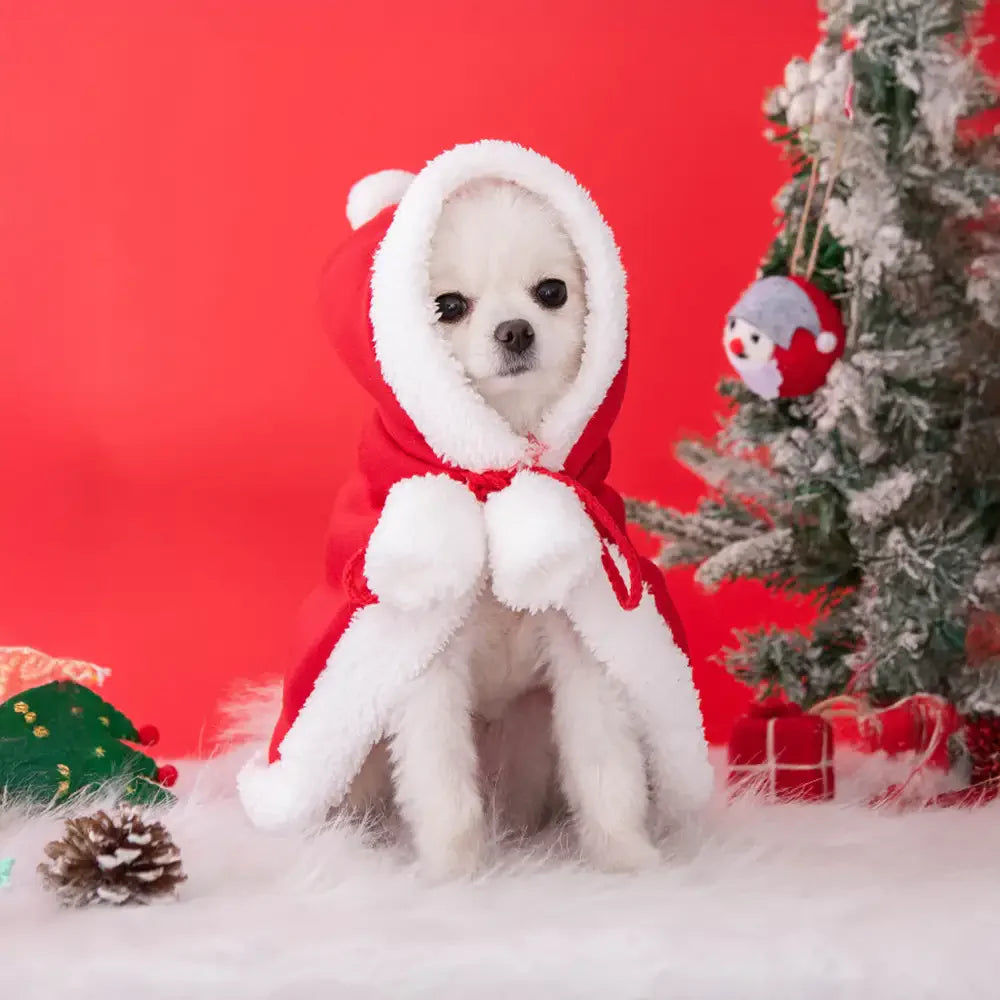 Cappotto di peluche caldo per cani di Natale con cappello di Babbo Natale.