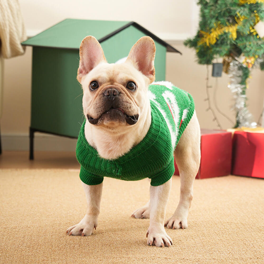 Pull de Noël en tricot à col roulé pour chien, pull assorti pour chiens et propriétaires