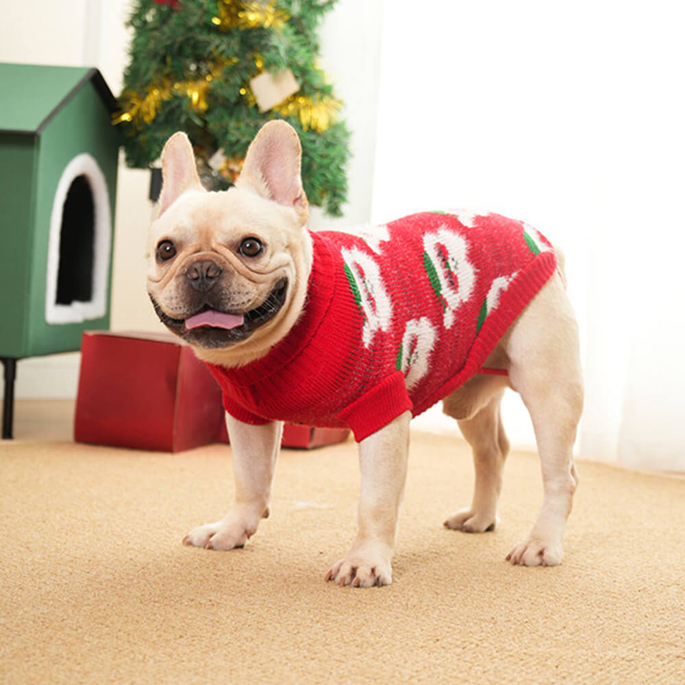 Pull de Noël en tricot à col roulé pour chien, pull assorti pour chiens et propriétaires