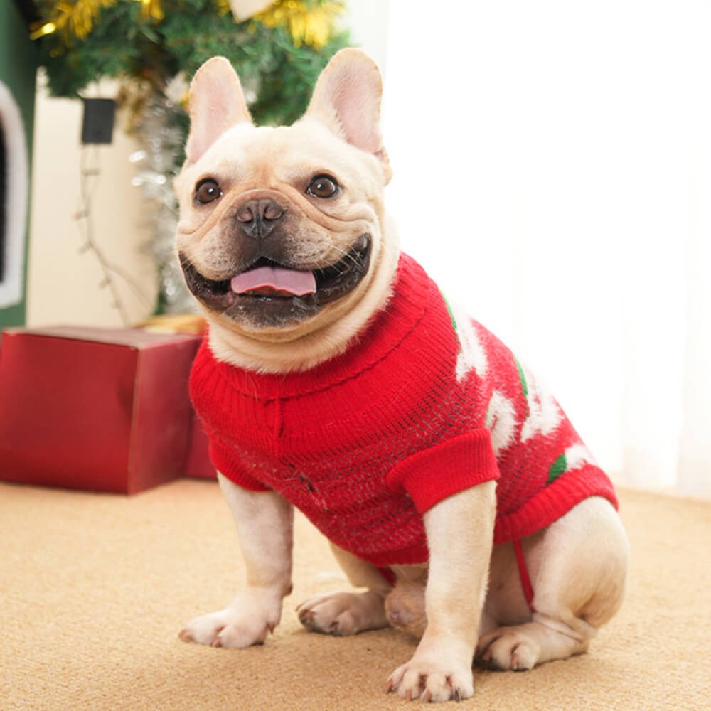 Pull de Noël en tricot à col roulé pour chien, pull assorti pour chiens et propriétaires