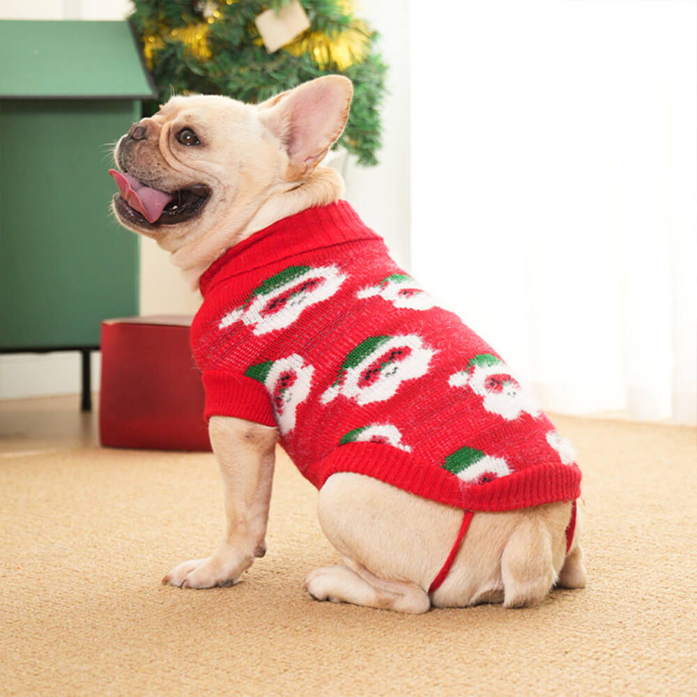 Pull de Noël en tricot à col roulé pour chien, pull assorti pour chiens et propriétaires