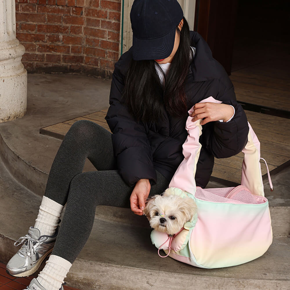 Borsa da trasporto per animali domestici impermeabile in PU pelle colorata e alla moda