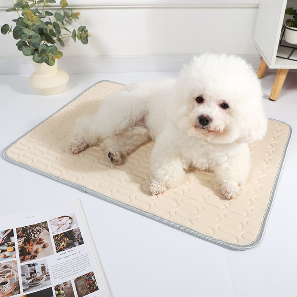 Cooling Washable Non-Slip Breathable Ice Silk Dog &amp; Cat Mat