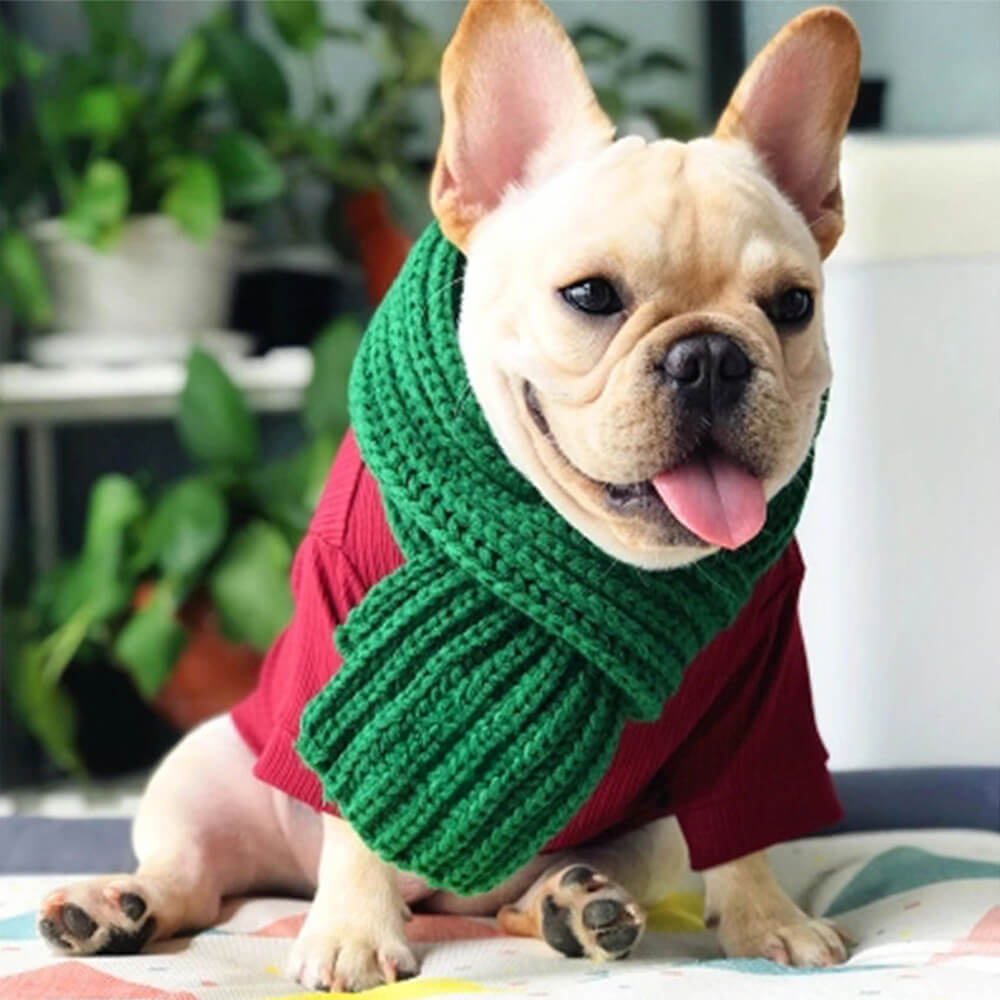 Écharpe pour chien en tricot confortable, douce et chaude, ajustement réglable