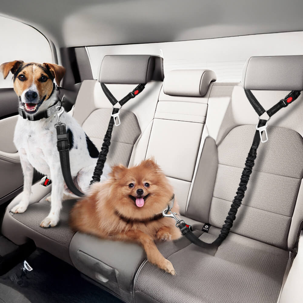 Cintura di sicurezza per cani per poggiatesta del veicolo
