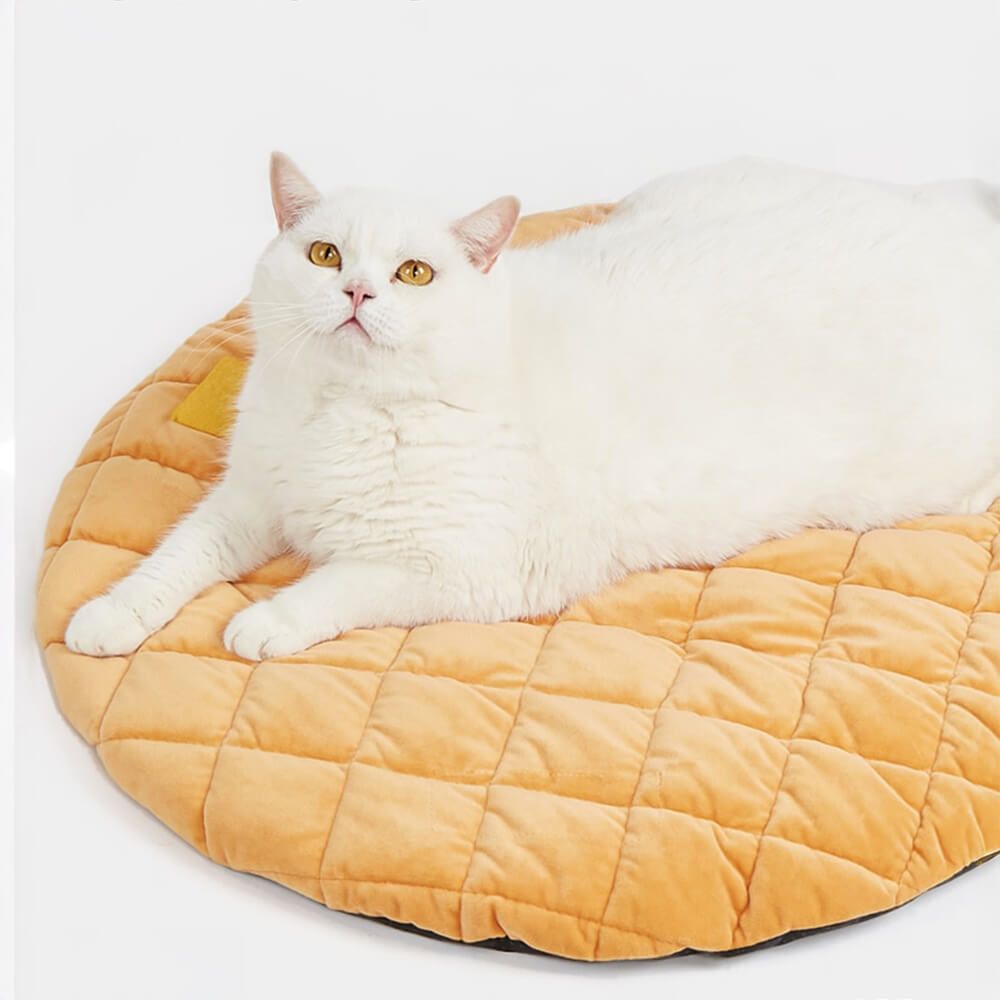 Donut Shaped Multi-Purpose Washable Dog & Cat Bed with Squeaky Pillow