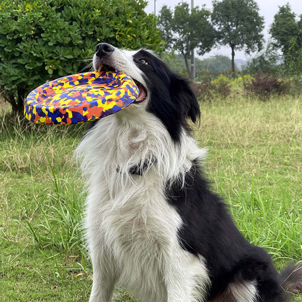 Giocattolo per cani in camo durevole, corda resistente al morso, serie di giocattoli galleggianti per acqua