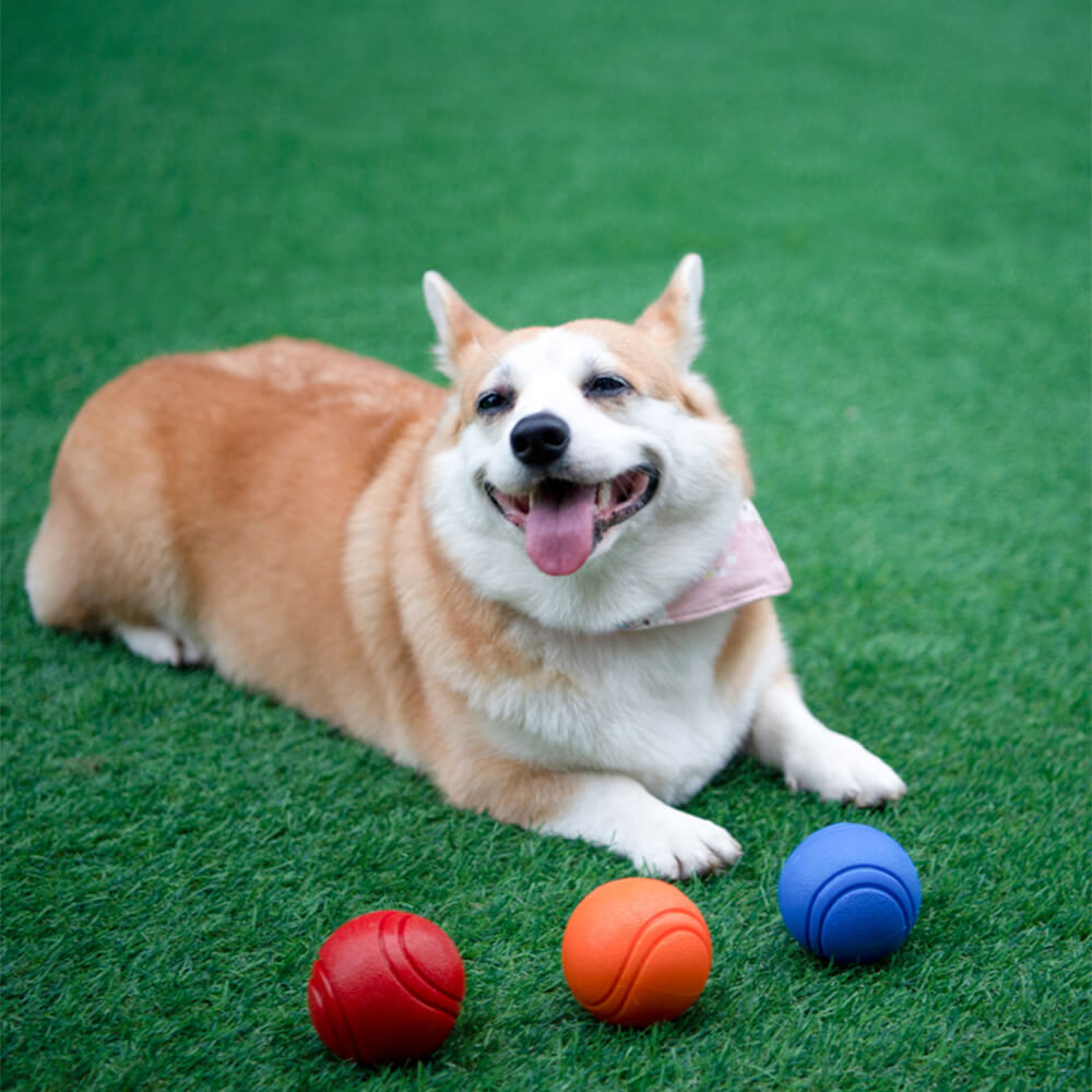 Giocattolo elastico squeezy a forma di pallone galleggiante per cani, giocattolo da masticare