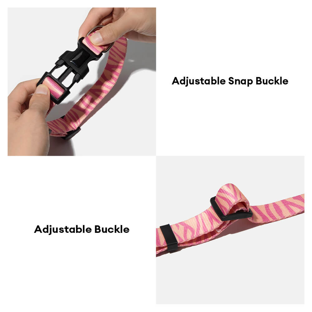 Set di guinzaglio in nylon leggero con stampa moda per cani