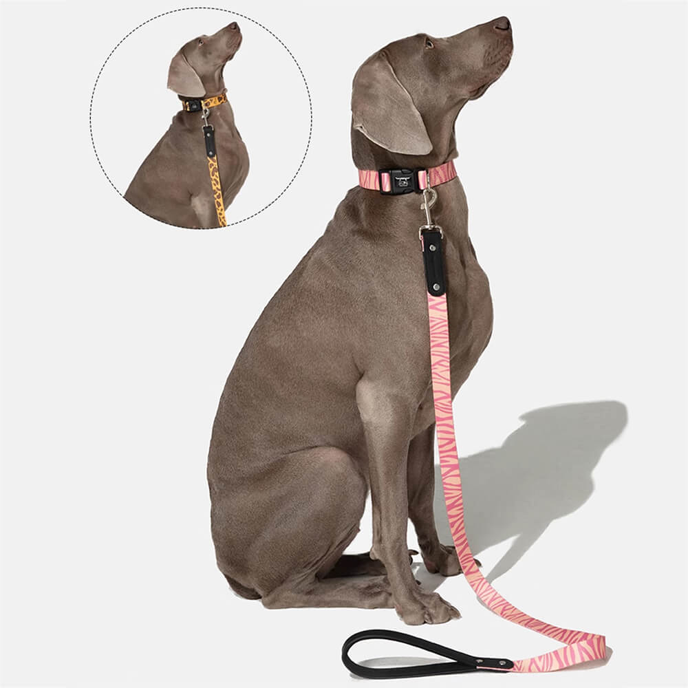 Set di guinzaglio in nylon leggero con stampa moda per cani