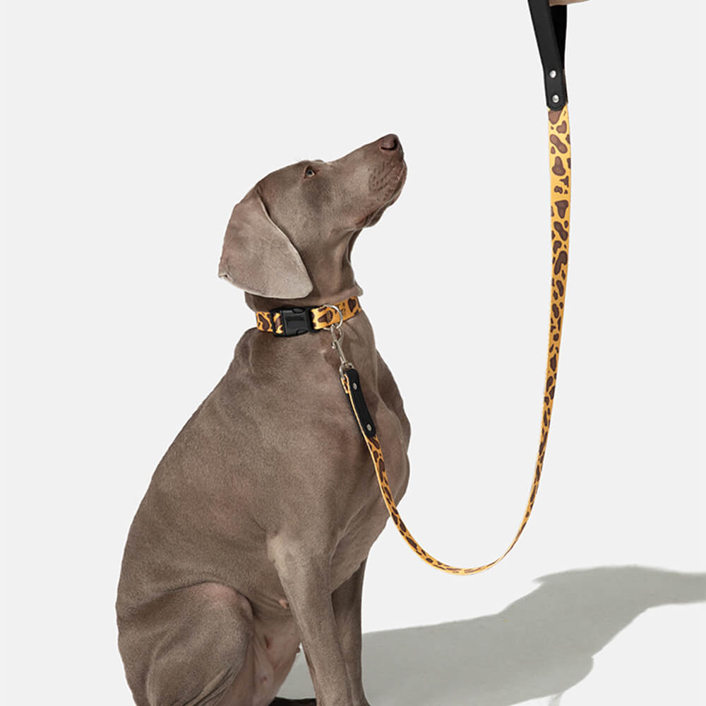 Set di guinzaglio in nylon leggero con stampa moda per cani