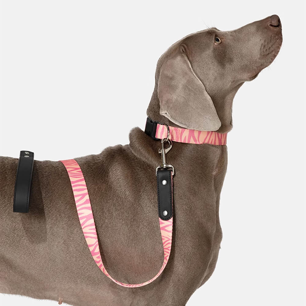 Set di guinzaglio in nylon leggero con stampa moda per cani